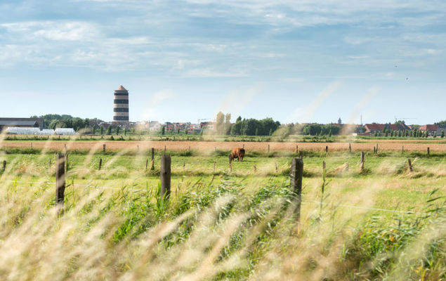 Noordzeepark Zeewind 2 - Photo 5