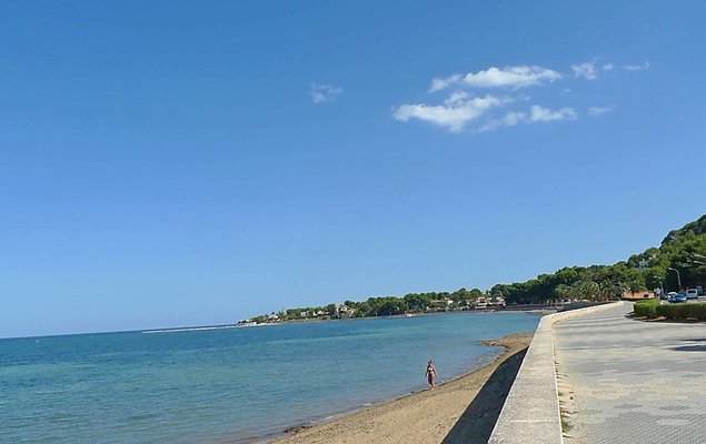 Oasis Beach - Photo 7