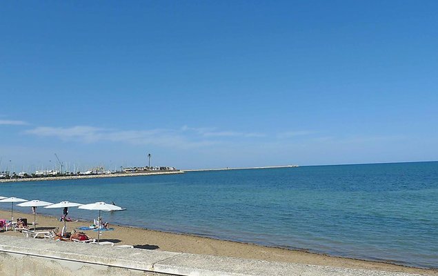 Oasis Beach - Photo 8