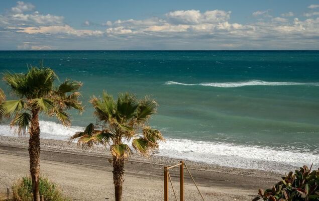 Lateral View - Photo 20