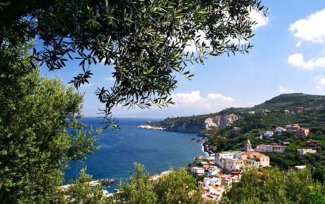 Freedom Relais Club - Photo 38