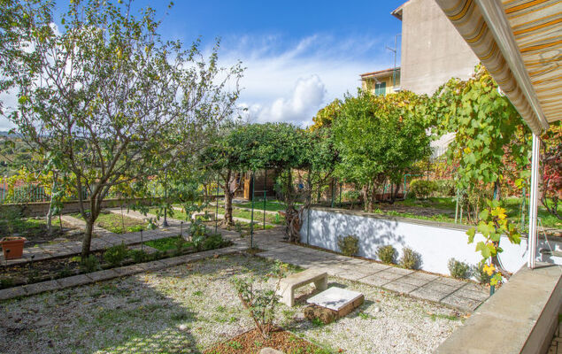 Kiwi e L'uva - Tuscia - Photo 4