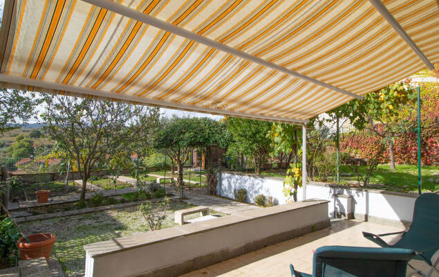 Kiwi e L'uva - Tuscia - Photo 17