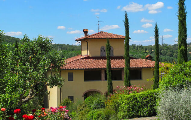 Corbezzolo - Photo 1