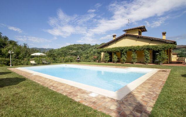 Corbezzolo - Photo 35