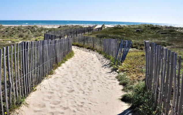 Les Coraux - Photo 27