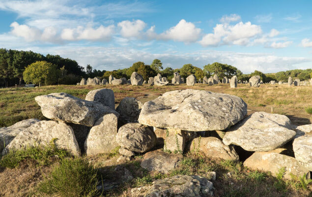 Le Voulien - Photo 17