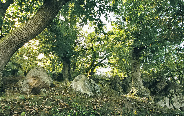 Casale Ulisse - Photo 25